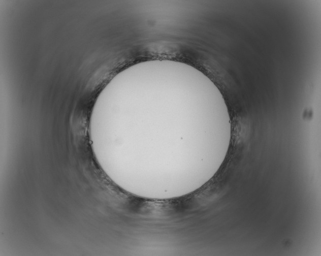 X0000111210713200907151437