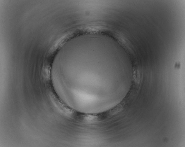 X0000111210718200907151437