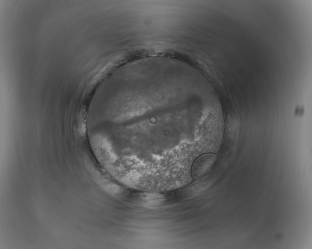 X0000111210719200907151437