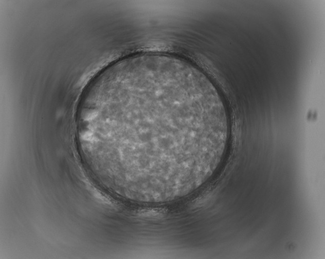 X0000111210721200907151437