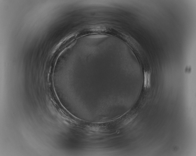 X0000111210723200907151437