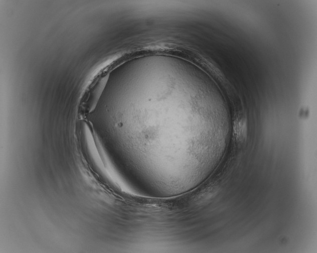 X0000111210724200907151437