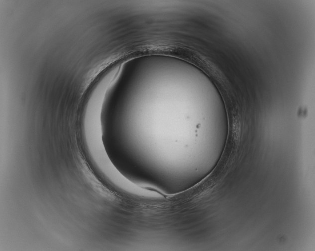 X0000111210725200907151437