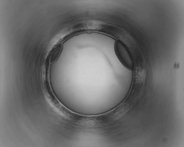 X0000111210726200907151437