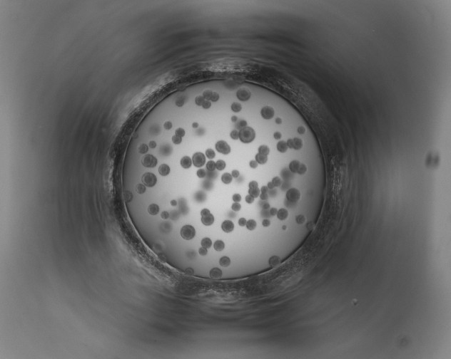 X0000111210727200907151437