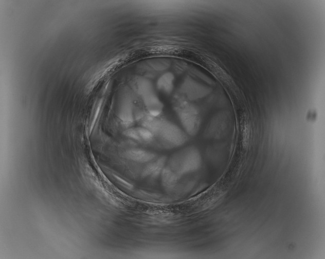 X0000111210729200907151437