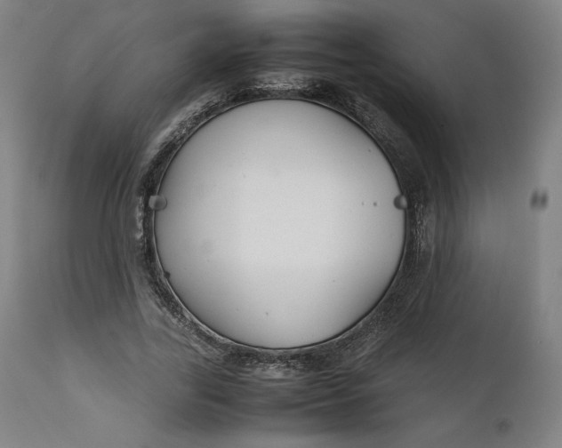 X0000111210731200907151437