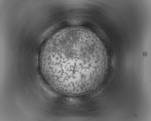 X0000111210733200907151437