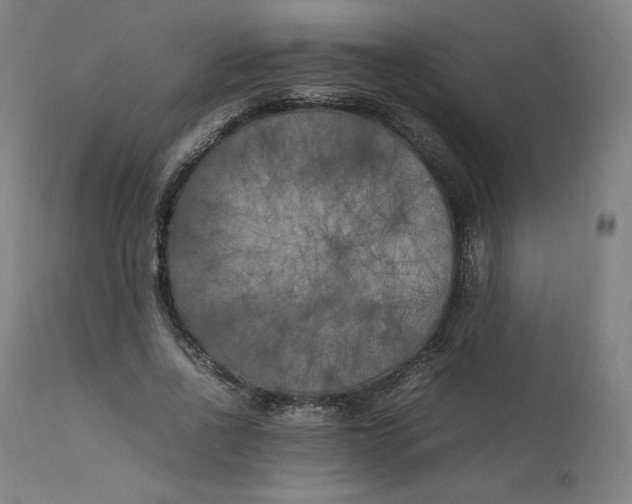 X0000111210734200907151437