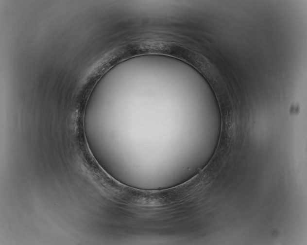 X0000111210735200907151437