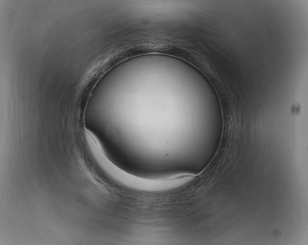 X0000111210736200907151437