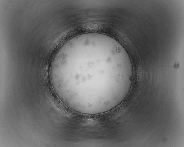 X0000111210737200907151437