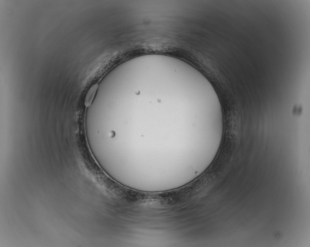 X0000111210738200907151437