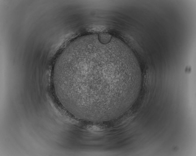 X0000111210739200907151437