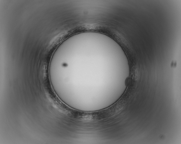 X0000111210740200907151437