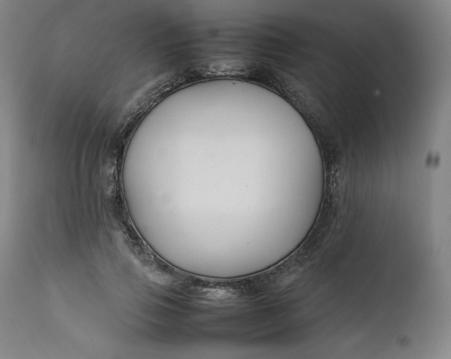 X0000111210741200907151437