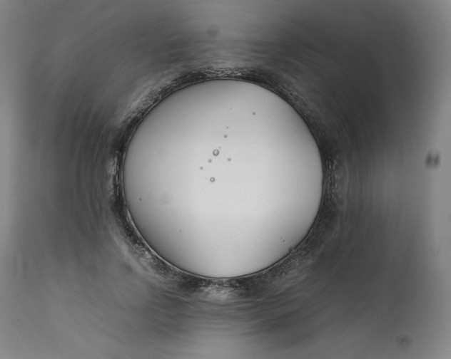 X0000111210742200907151437