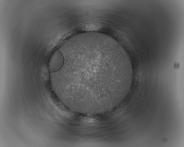 X0000111210743200907151437