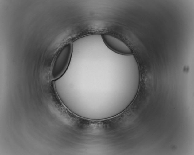 X0000111210744200907151437