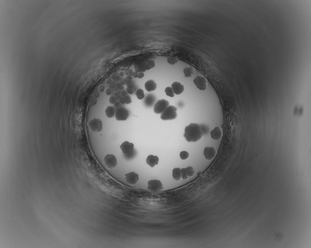 X0000111210745200907151437