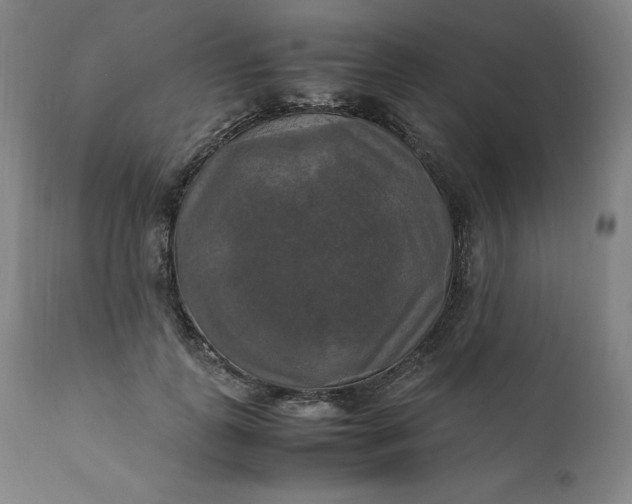 X0000111210747200907151437