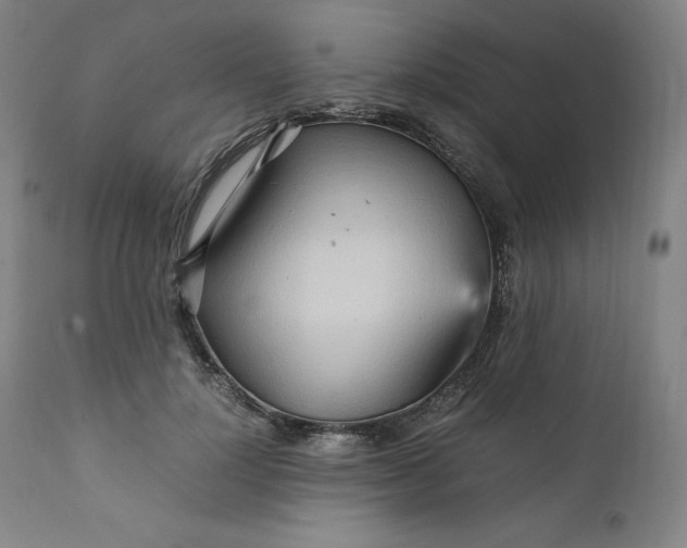 X0000111210748200907151437