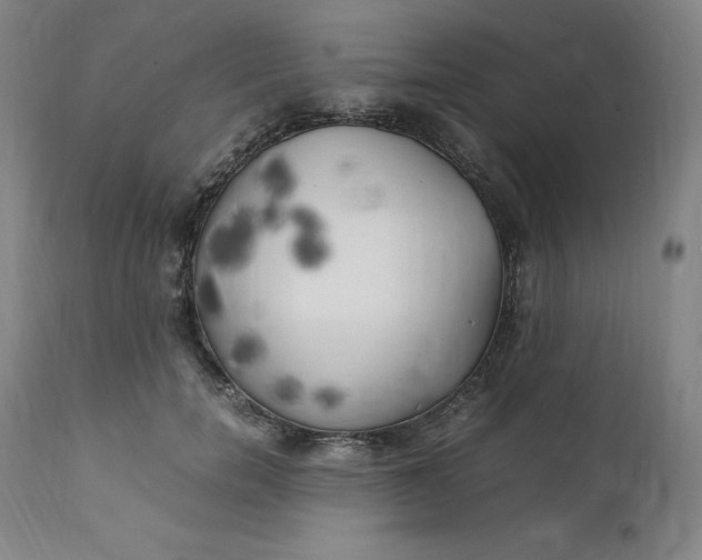 X0000111210750200907151437