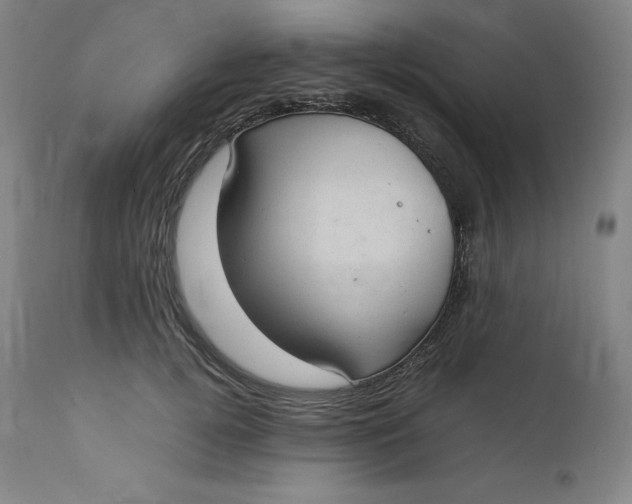 X0000111210752200907151437