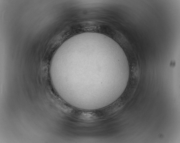 X0000111210753200907151437