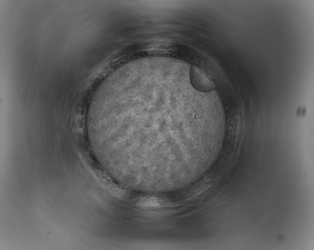 X0000111210755200907151437