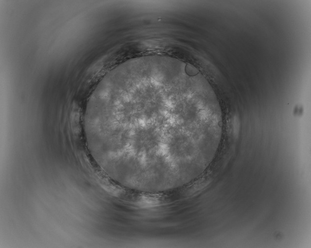 X0000111210757200907151437