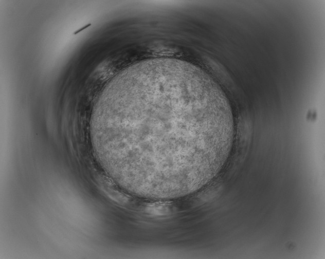 X0000111210761200907151437