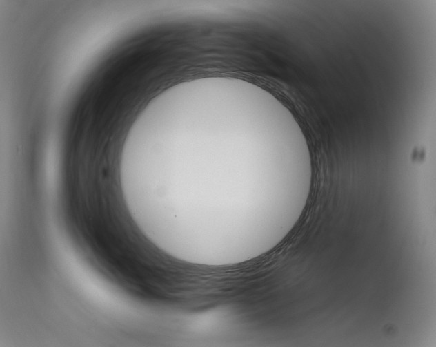 X0000111210764200907151437