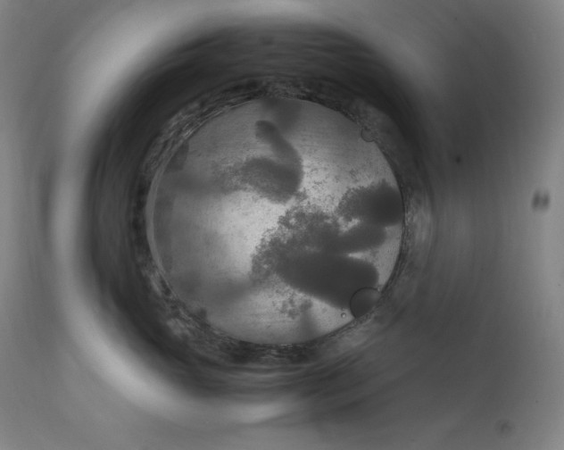 X0000111210765200907151437