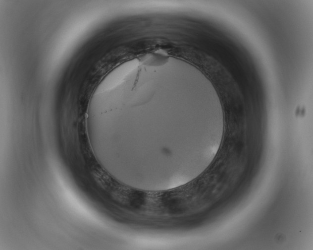 X0000111210766200907151437