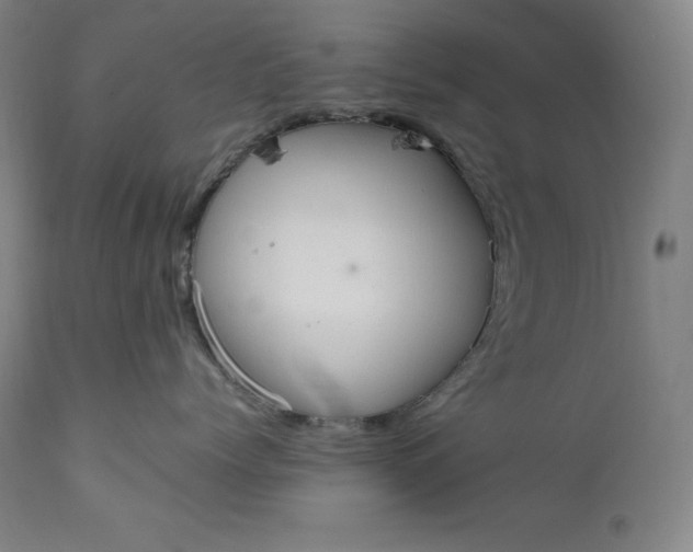 X0000111210768200907151437