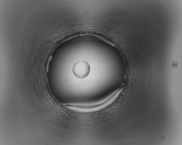 X0000111210769200907151437