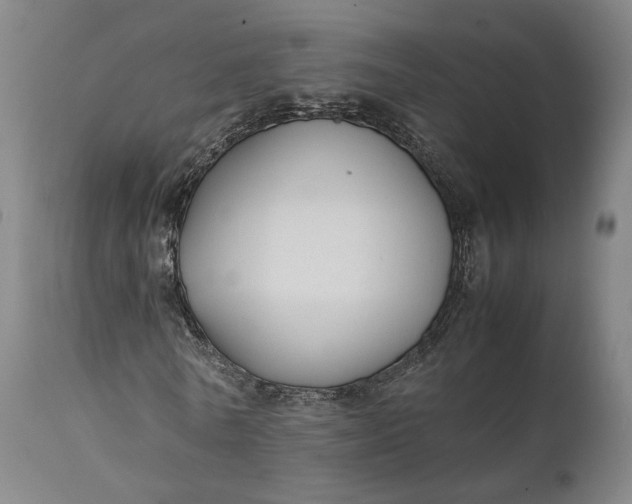 X0000111210770200907151437