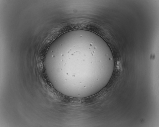 X0000111210771200907151437