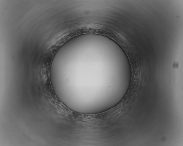 X0000111210774200907151437