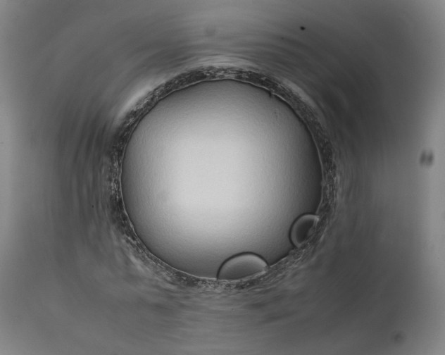 X0000111210775200907151437