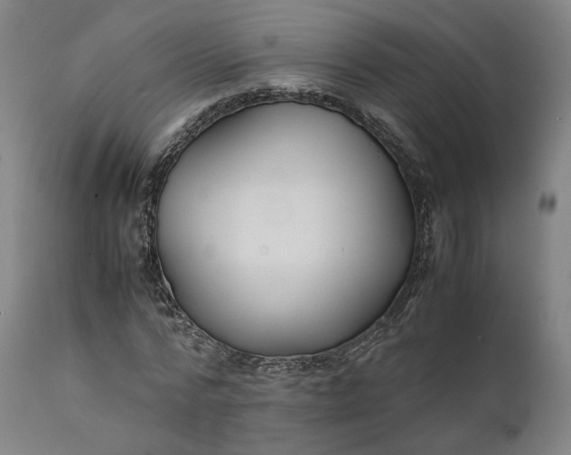 X0000111210776200907151437