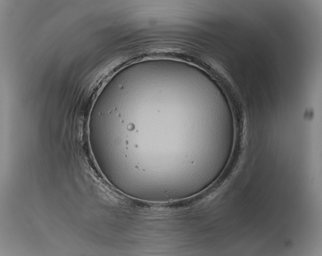 X0000111210777200907151437