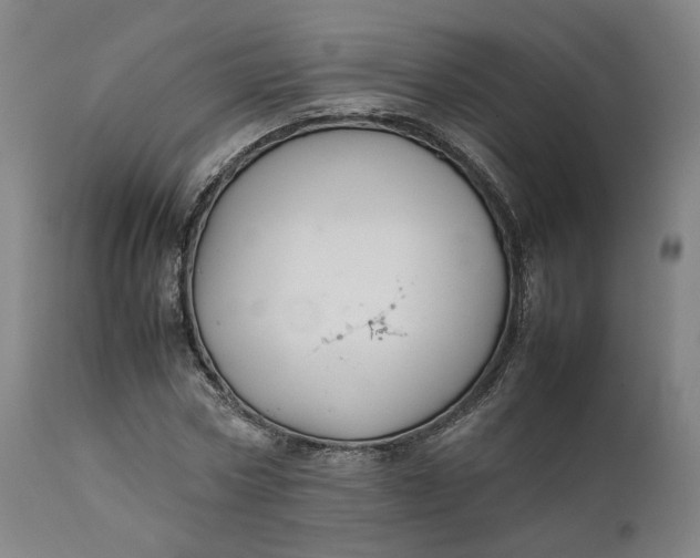 X0000111210778200907151437