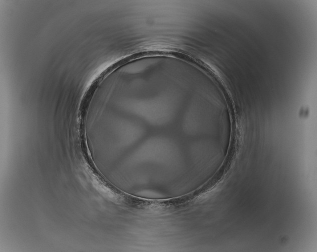 X0000111210779200907151437