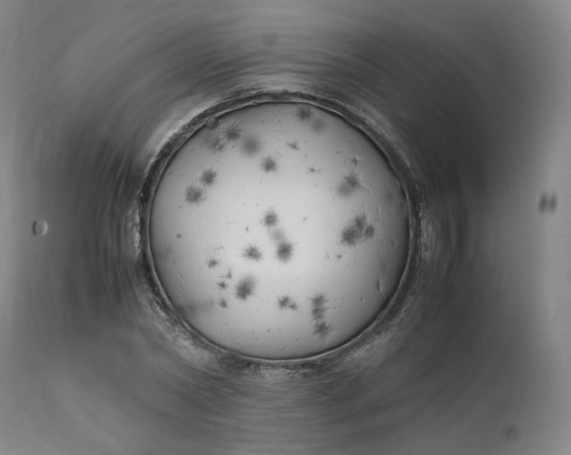 X0000111210782200907151437