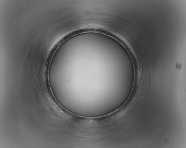 X0000111210783200907151437