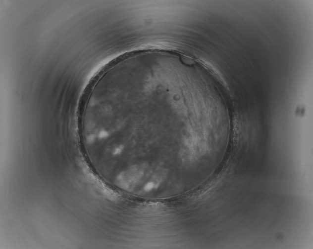 X0000111210784200907151436