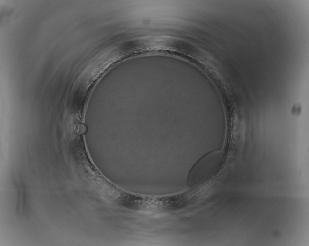 X0000111210785200907151436