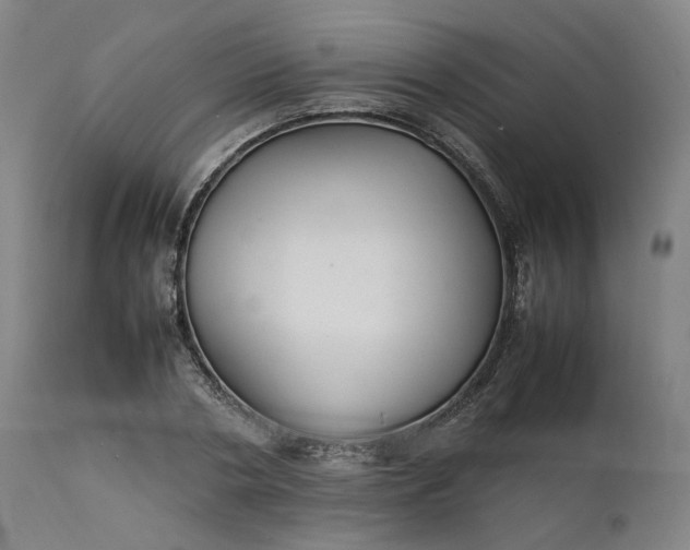 X0000111210786200907151436